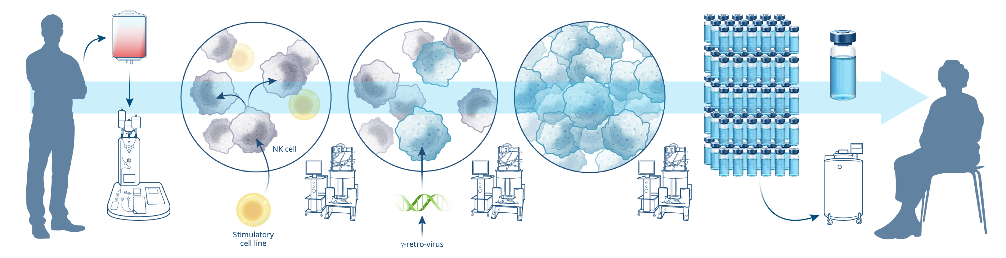 Manufacturing steps: Collect & Isolate; Activate; Engineer; Expand; Cryopreserve;	Thaw & Administer